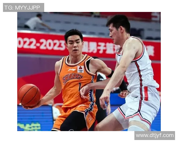 鲨鱼体育俱乐部:风起云涌的运动盛事